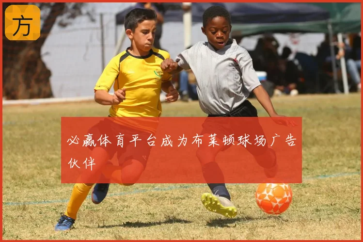 必赢体育平台成为布莱顿球场广告伙伴